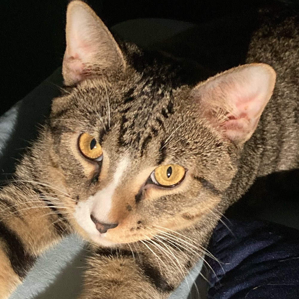 Meet your Posher, Jocelyn